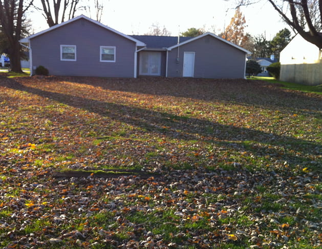 The Yard Men - Lawn Care Services in Macomb County Michigan - BEFORE-IMAGE
