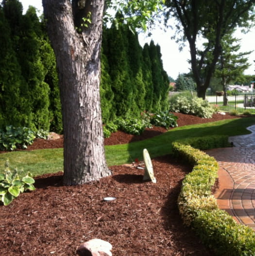 Residential Lawn Maintenance Services in Macomb County MI  - residential-content-image-tree